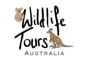 Wildlife Tours Australia image 1